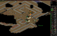 ss for lowfat.png