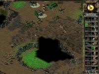 3559109.jpg