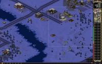 taxikill2.jpg