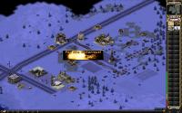 taxikill5.jpg